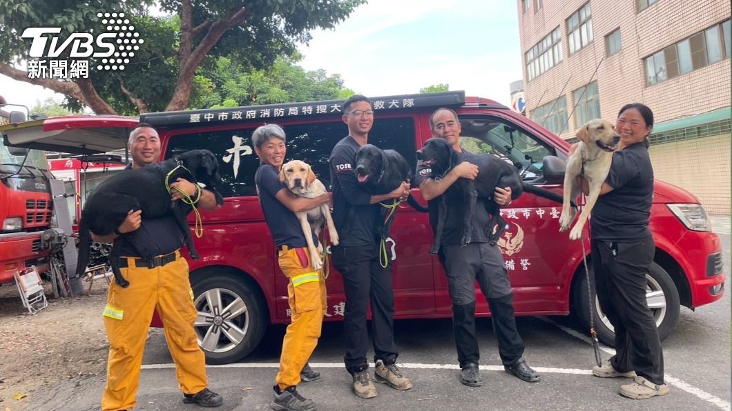 好厲害!台中5搜救犬全過IRO評測 這隻拉不拉多表現最好