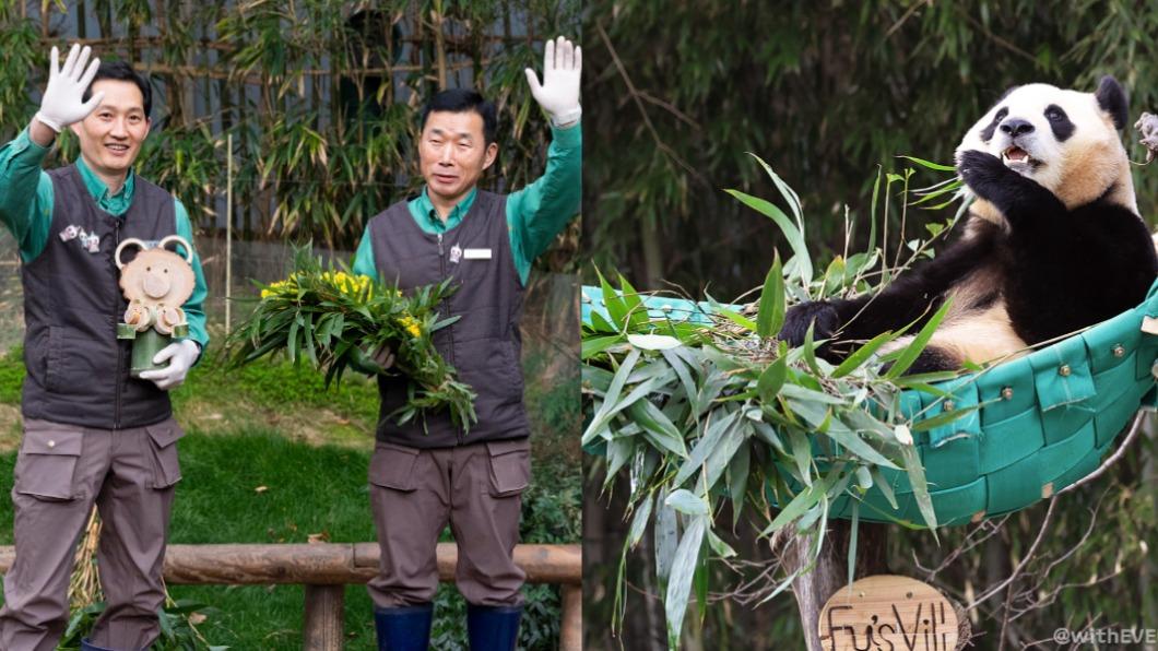 「韓最紅貓熊」登上大銀幕！和爺爺相愛相殺全被拍　今秋上映