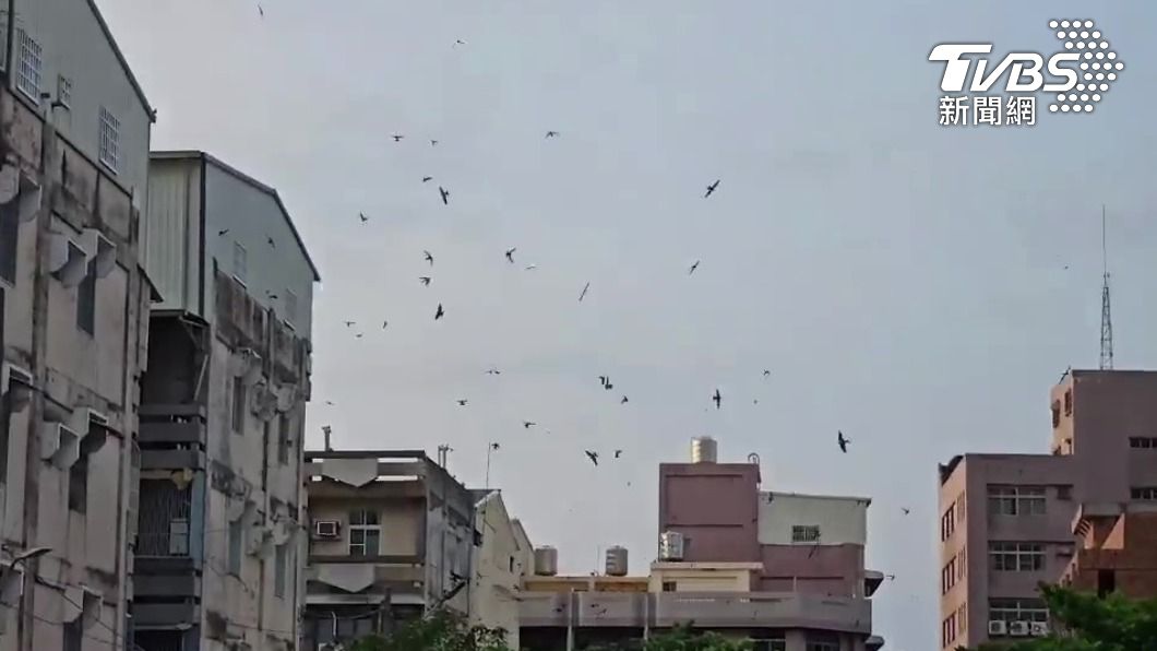 當天雲層較厚。(圖/林先生提供授權)