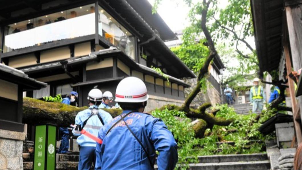 清水寺旁!京都景點「產寧坂」百年櫻花樹倒塌 砸傷6旬觀光客