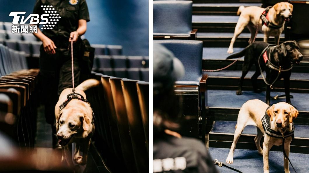 加菜囉!台中警犬日嗑4.5公斤飼料 企業霸氣送半年份伙食