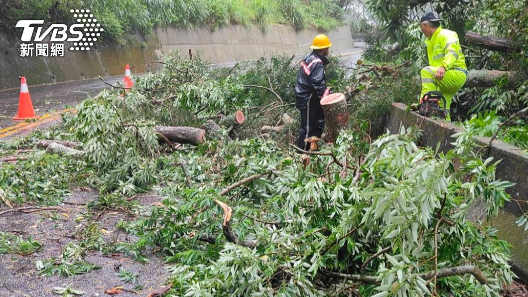 雨彈炸苗栗!直徑30公分巨樹躺地枝葉蓋馬路 剩單向通行