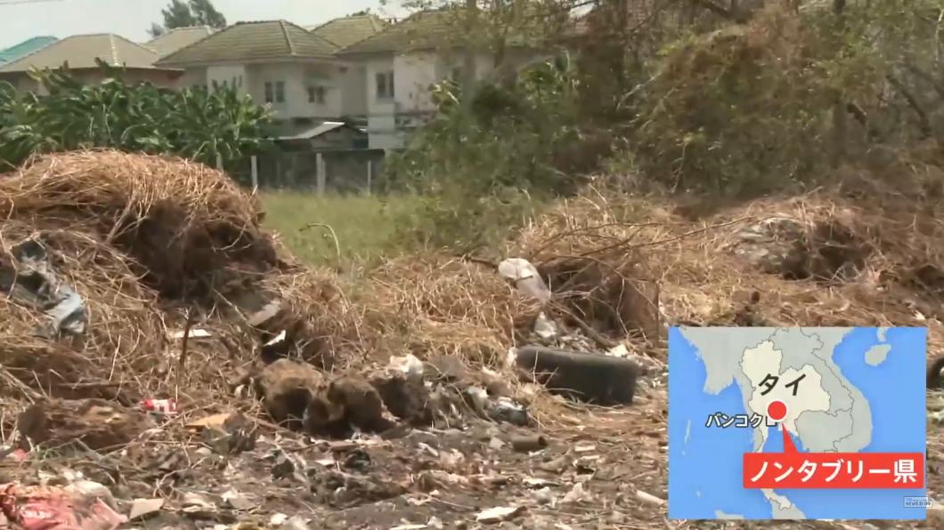 曼谷近郊驚現斷臂、頭部屍塊 疑日本黑幫爆衝突1男遭肢解