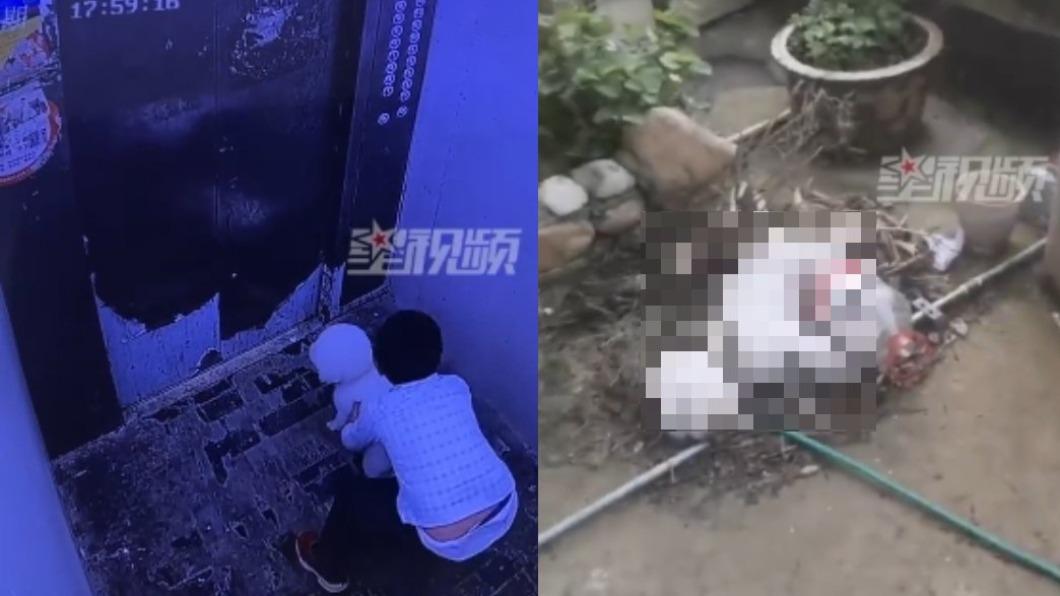 陸7歲男童寵物店偷狗!狠心從「17樓扔下」 媽辯:小孩不懂事