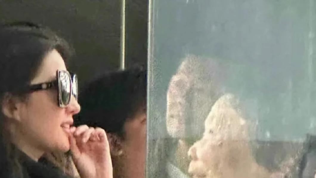 劉亦菲在香港海洋公園欣賞海底動物時，不自覺洩漏個人小習慣「撕嘴唇死皮」。（圖∕翻攝微博）