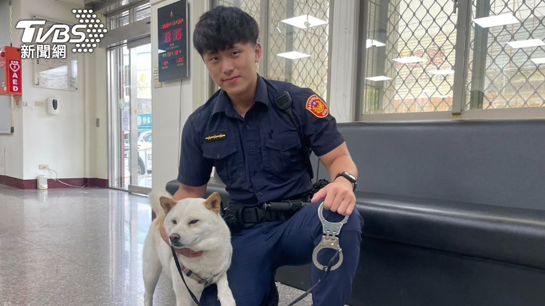 台南呆萌白柴走失!意外爆出在地鮮肉帥警 感情現況全曝光