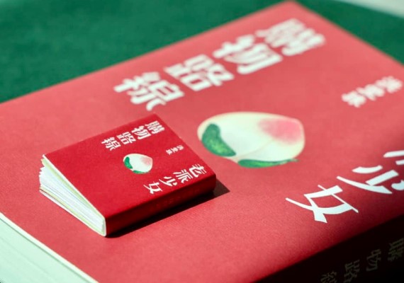 《老派少女購物路線》是一本記憶與自我追尋之書（圖／翻攝自Yuchun Hung臉書）