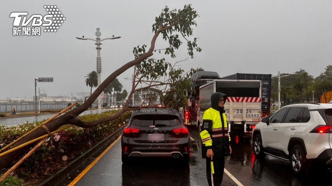 快訊/狂風雨炸高雄路樹又倒塌 Uber停等紅燈衰被重砸