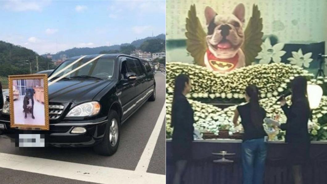 情同家人!愛犬過世主人出動「加長靈車」 豪華告別式還掛遺照