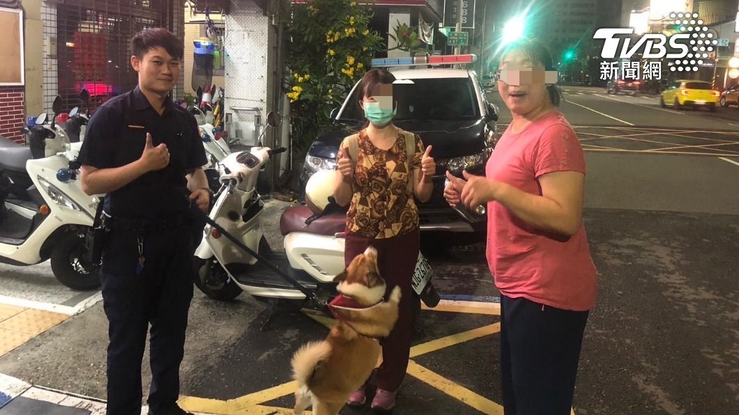 柯基犬遇到熱心民眾及警員協助順利回家。(圖/TVBS)