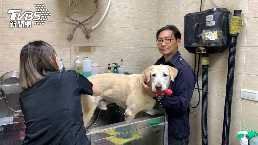 Roger咬著玩具乖乖的讓小姊姊做SPA。（圖／TVBS）