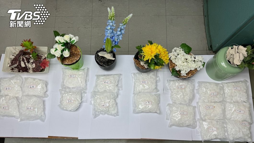 盆栽藏千萬K毒!竹聯幫找癌末患者走私運毒 他被抓隔月病逝