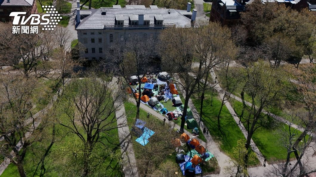 示威者在哈佛大學(Harvard University)搭建帳篷。(圖/達志影像路透社)