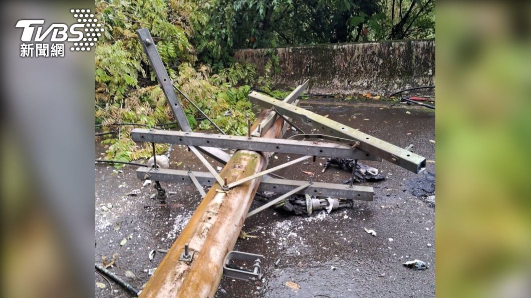 又是桃園!「蛇攀高壓電+風雨樹倒」停電 4690戶受影響