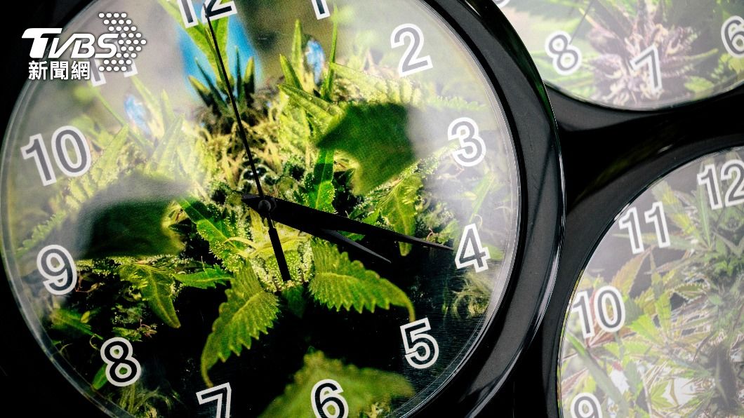 美國政策重大轉向 擬將大麻改列低風險藥物