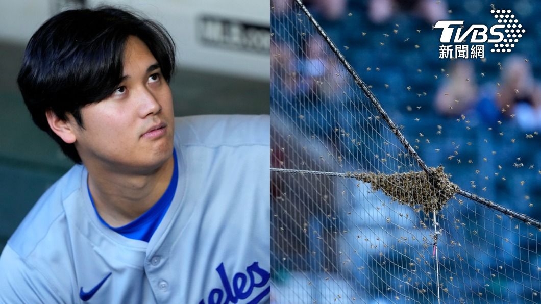 大谷都看傻!蜜蜂亂入比賽延後 捕蜂人成英雄受邀開球