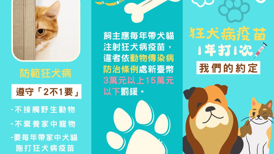 狂犬病遵守2不1要。(圖/台中市動保處)