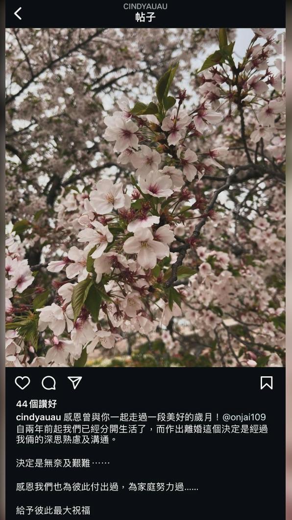 歐倩怡IG貼出離婚消息。(圖/翻攝自歐倩怡IG)