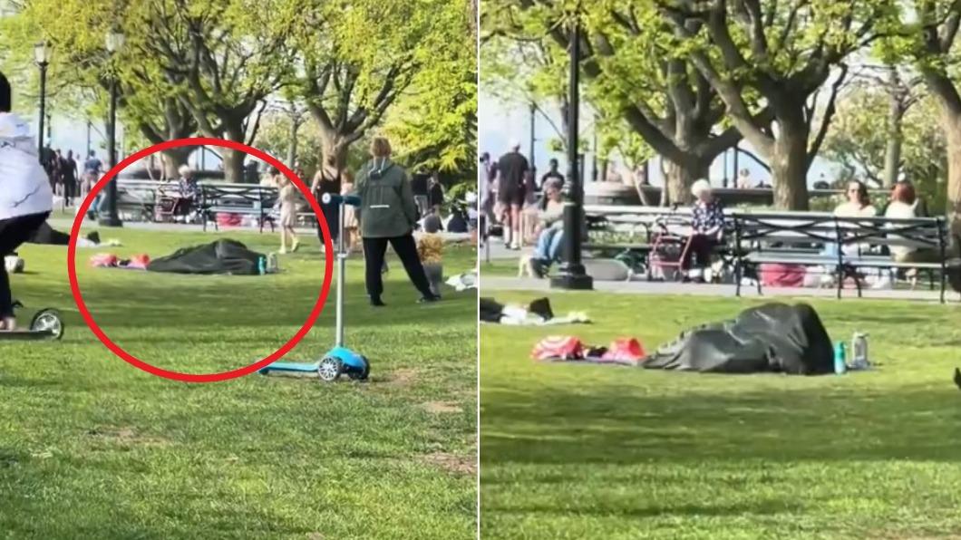 有片／紐約公園驚見活春宮　男女「毯下激戰片」5千萬網友朝聖