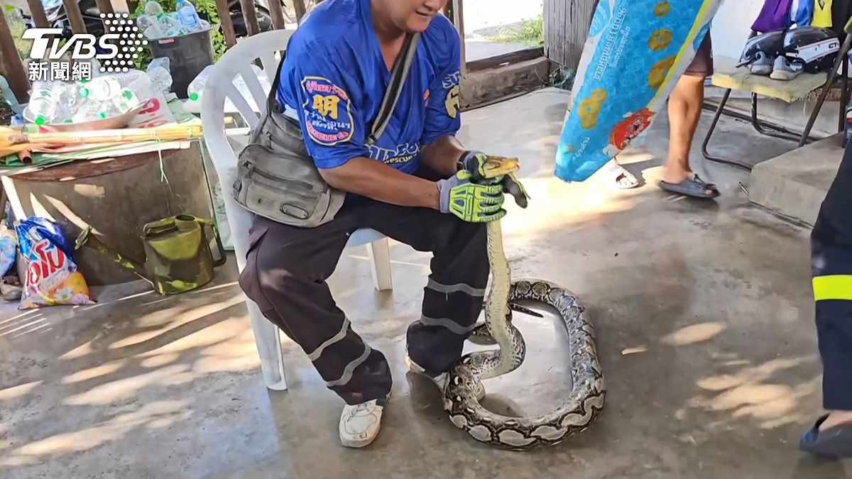 蟒蛇被捕獲「拆彈任務成功」,讓屋主一家人如釋重負。(圖/達志影像美聯社)