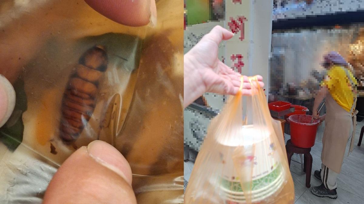 這羹湯有料!顧客驚見「整隻大蟑螂」漂浮 嚇喊:老闆繼續賣