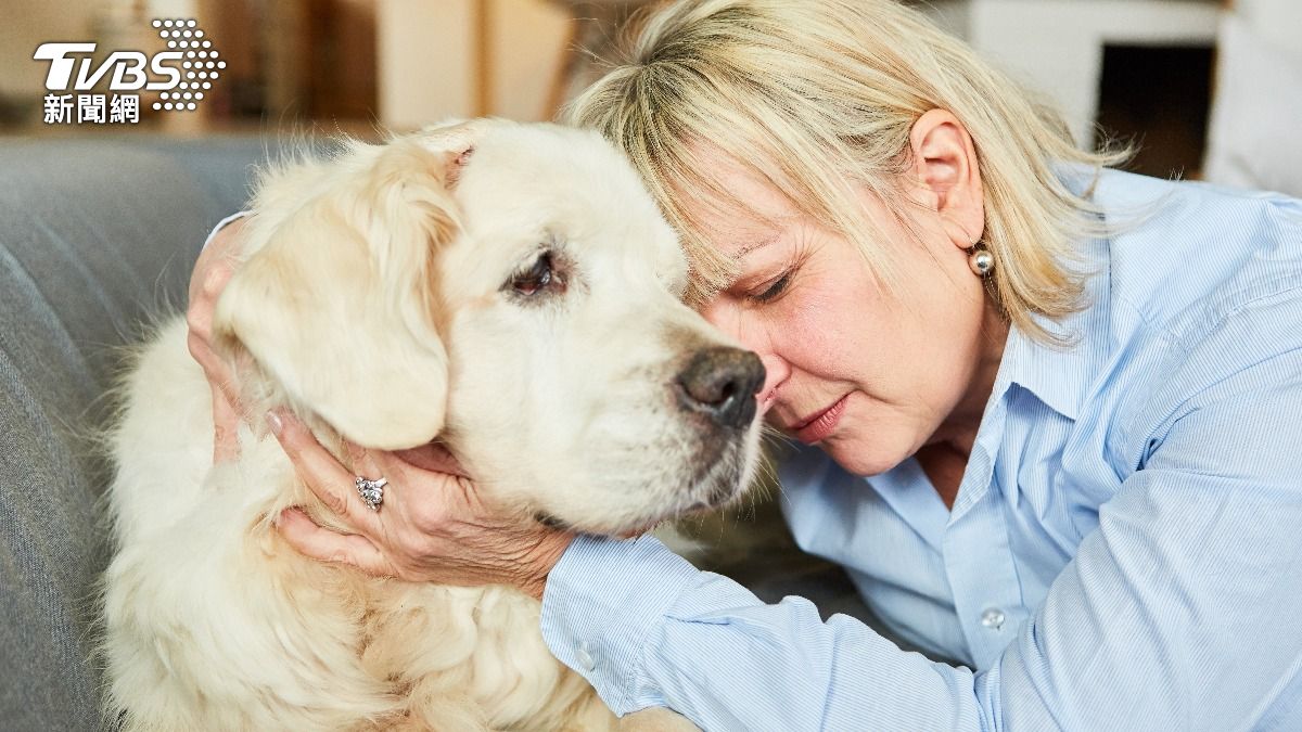 愛犬性情大變「黏人又愛哭」!飼主:只對我這樣 網勸她快就醫
