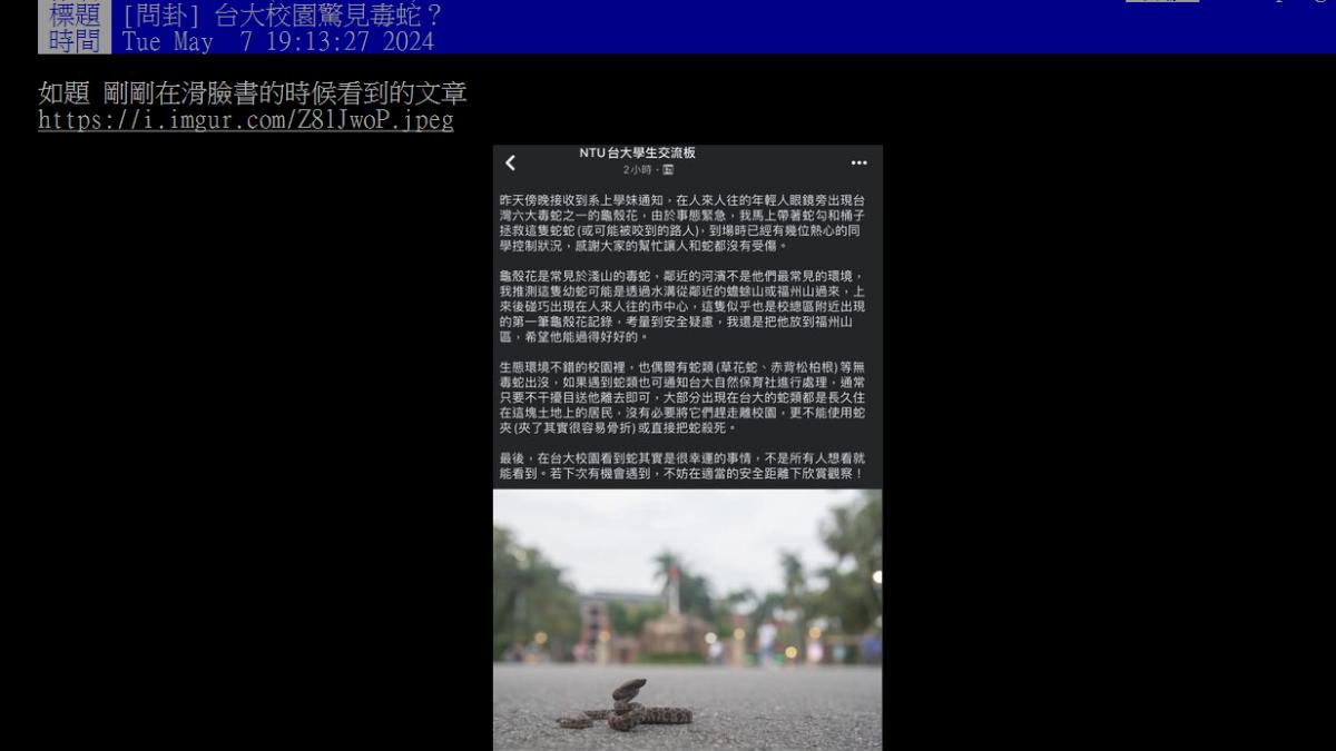 毒蛇出沒在台大校園引發熱議。(圖/翻攝自PTT)