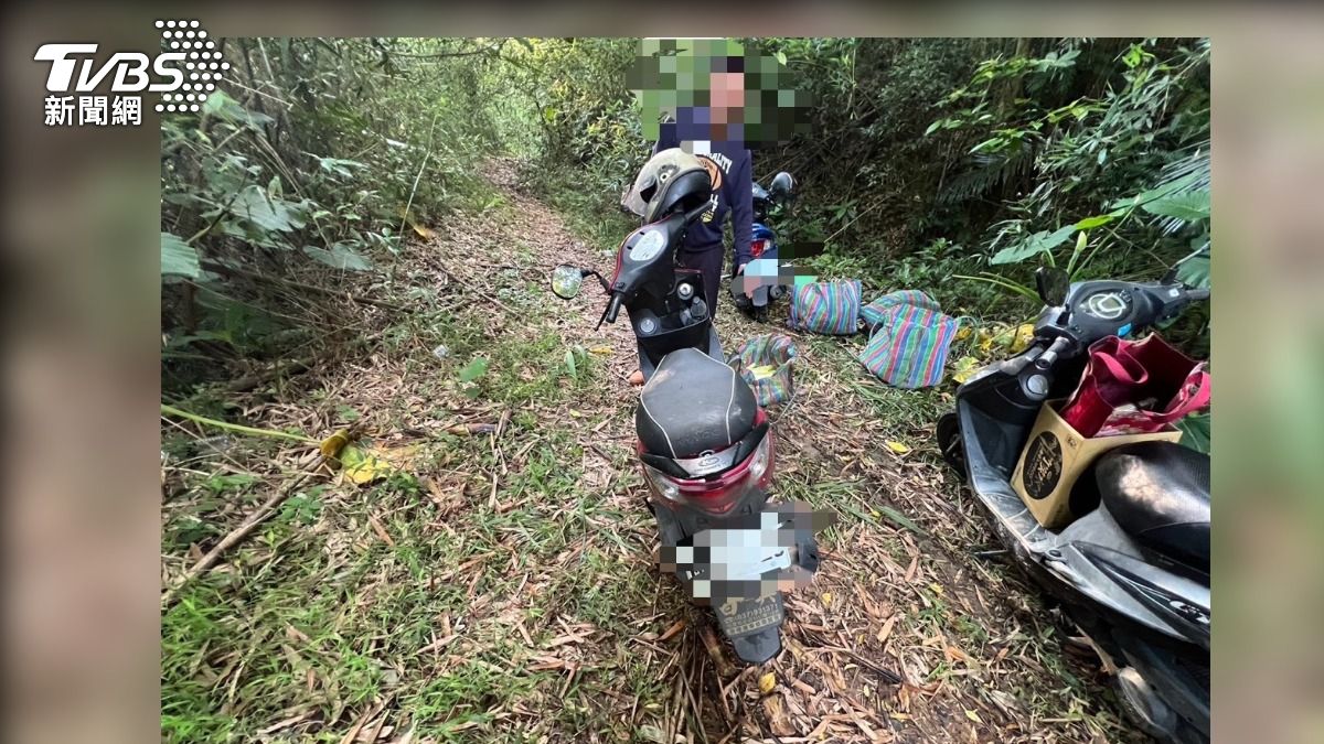 偷筍不利己 苗栗男子順手採桂竹筍被送辦