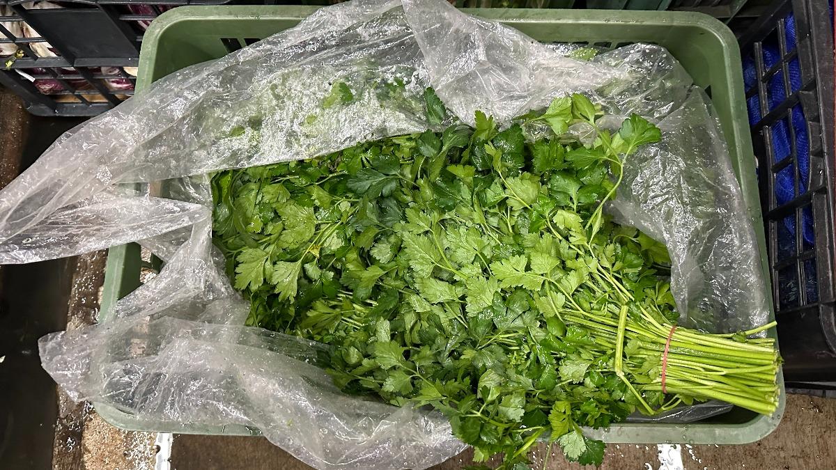 驚人!北市抽驗蔬果結果曝 多種「毒菜」竟19種農藥超標