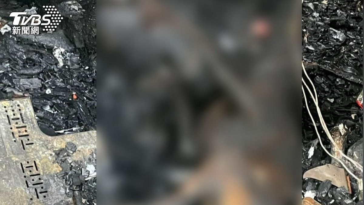兩隻狗燒成焦屍。(圖/村長蕭益忠授權提供)