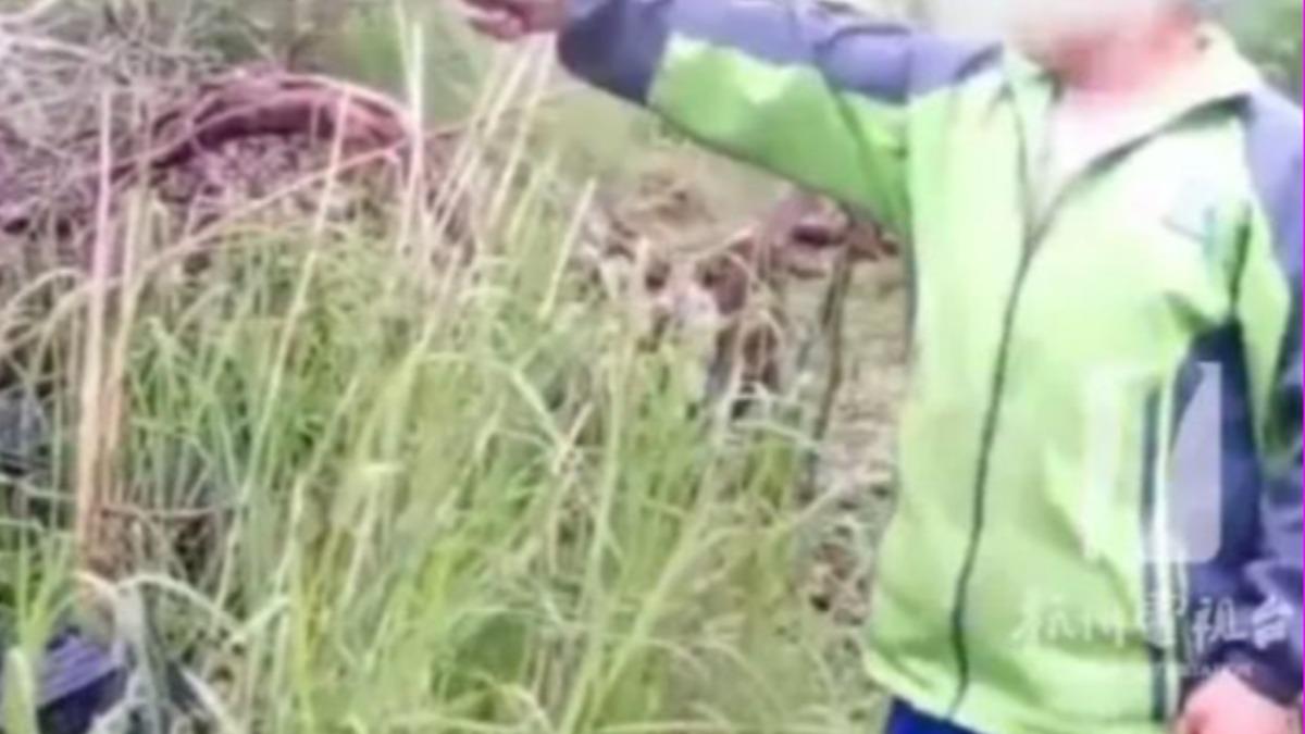 草叢驚見「屍體」老翁急報案!陸警大動作調查 真相曝光超傻眼