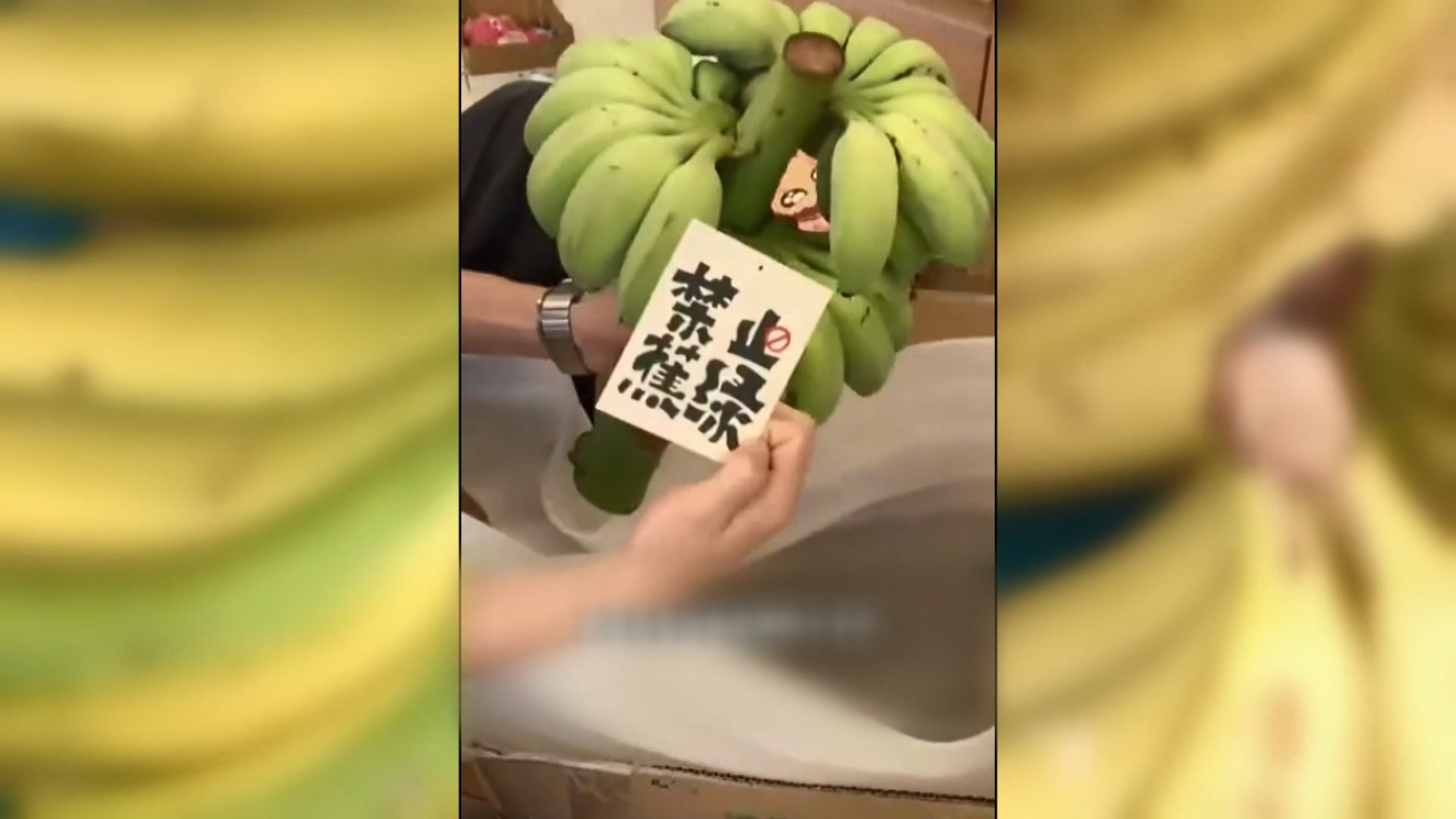 圖/翻攝自當事人