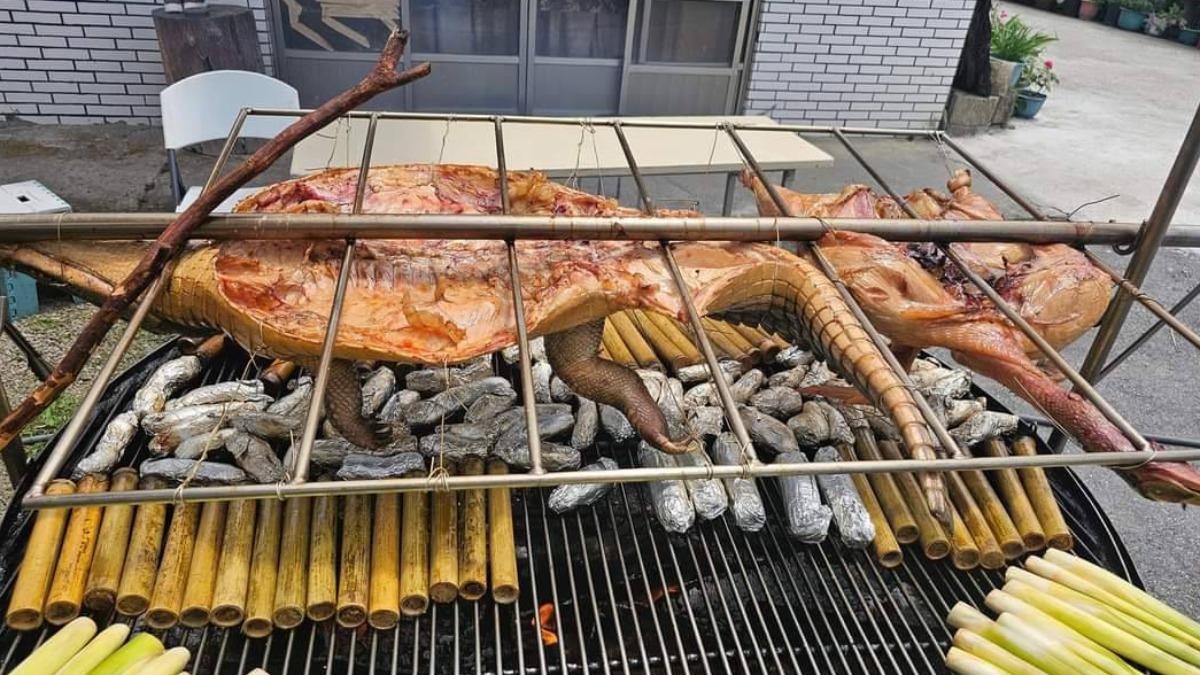 作家陳俞嘉為了慶祝新書《魔汁原味》二刷，特別準備烤全鱷大餐與部落居民同樂。（圖／山豬亮提供）