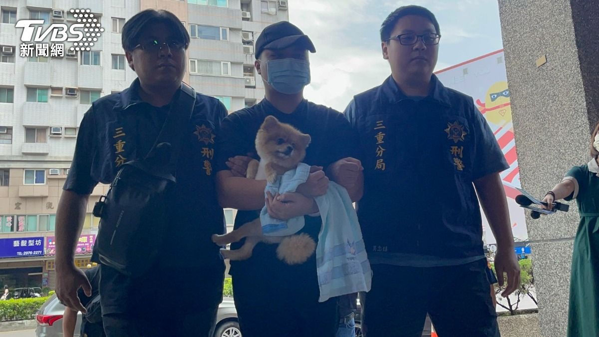 快訊/失聯女婿被帶回三重警分局 「上銬仍抱愛犬糯米」