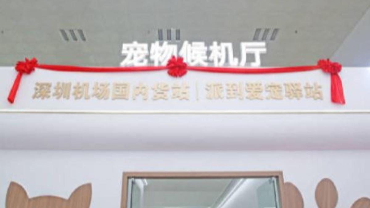 圖/翻攝自 橙新聞微博