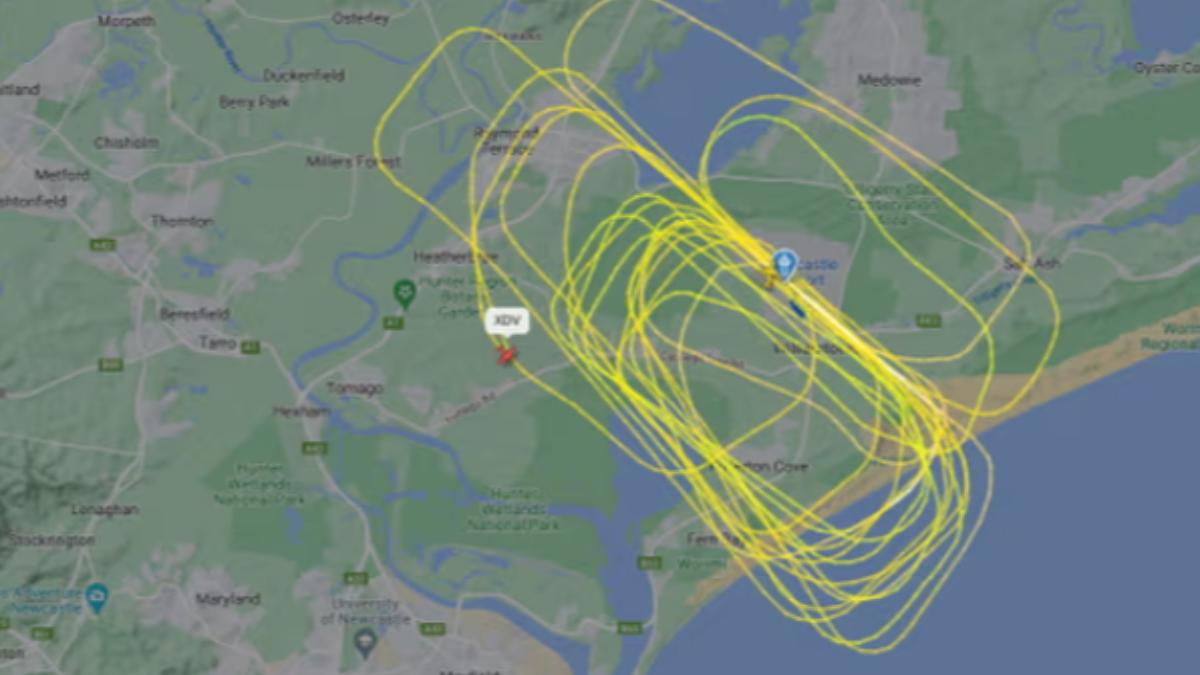 飛機在高空多次盤旋。(圖/翻攝自Flight Radar 24)