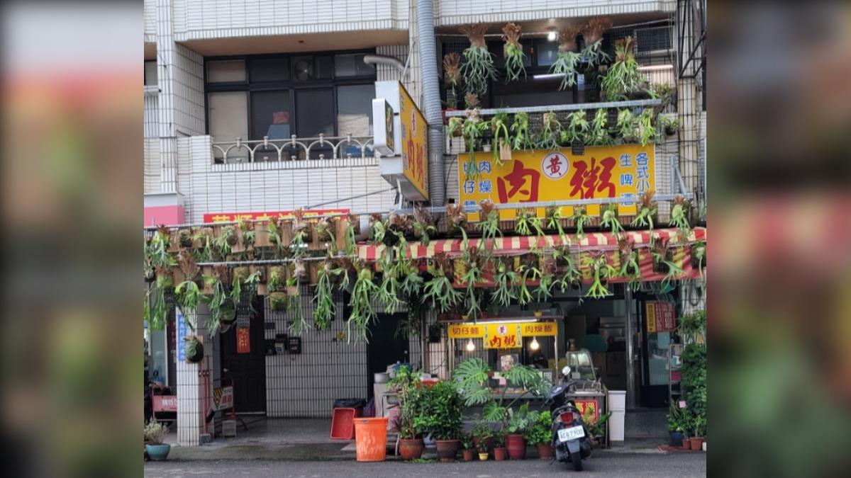 肉粥店雨棚一堆草?內行看傻喊:是植栽界「千萬級奢侈品」