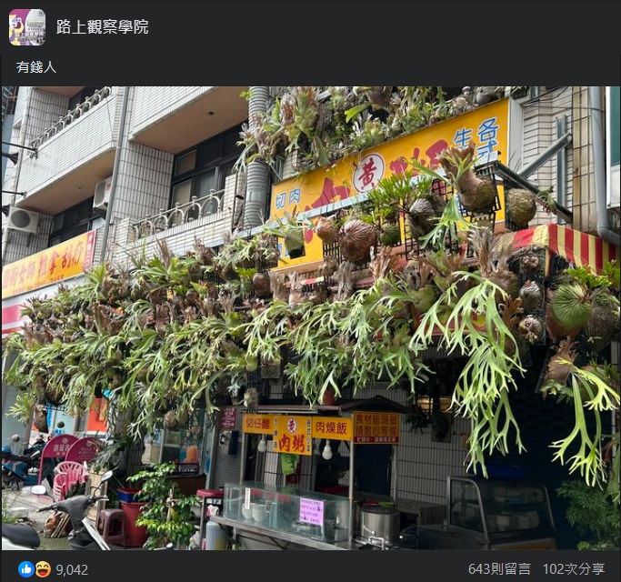 肉粥店上的鹿角蕨引發討論。(圖/翻攝自路上觀察學院臉書社團)