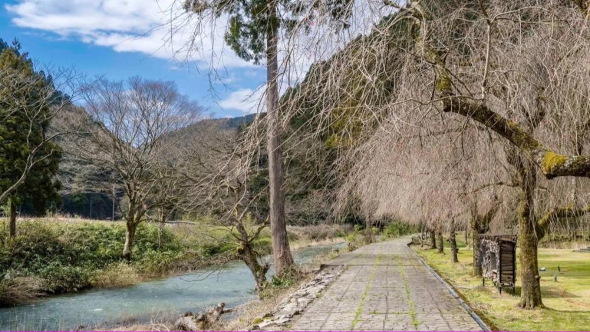戴勝通旅行社出包！消費糾紛賠「礦泉水」還嗆：被開槍我不會躲