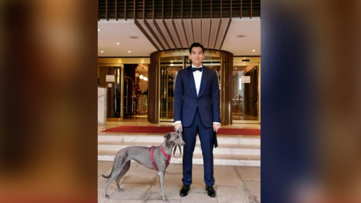 梅莉史翠普獲頒「榮譽金棕櫚獎」 彭于晏偕愛犬登坎城影展