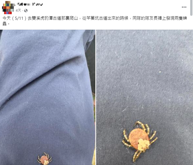 民眾登山發現長褲上有2隻蜱蟲。(圖/翻攝自登山通報站臉書)