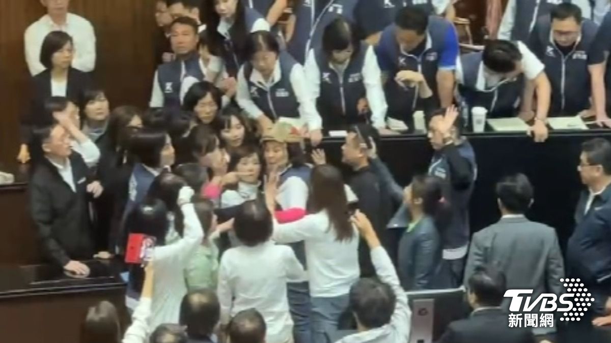 陳玉珍反擊綠營,「你們10幾個打我一個!」(圖/TVBS)