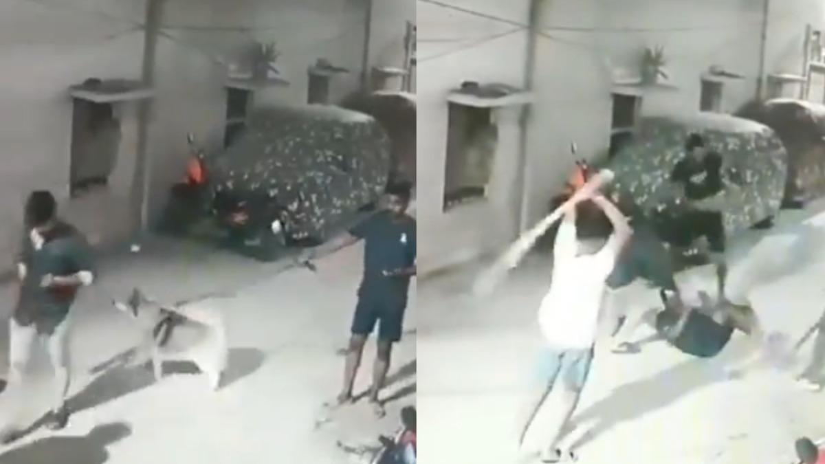 遛狗誤闖鄰居家!印度飼主慘遭圍毆暴打 哈士奇也沒放過
