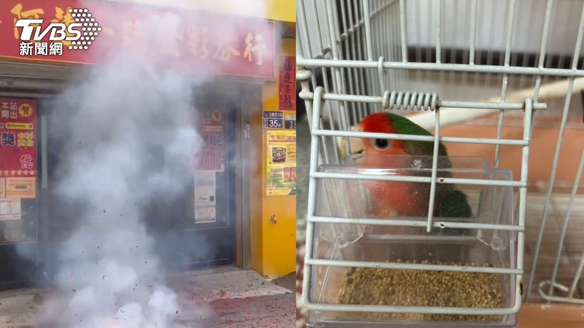 台中彩券行開大樂透1.97億!嗨放炮慶祝 謝店鳥、屎運加持