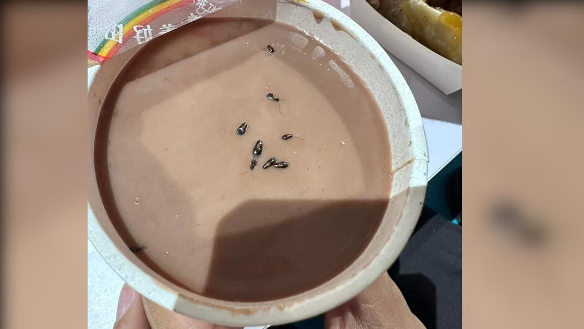 超噁!他驚見早餐店飲料「浮8隻蟑螂」:全家都在裡面游泳
