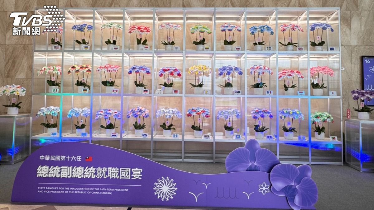 520國宴布置曝光！蘭花牆化身29友好國　8主菜融合5大族群