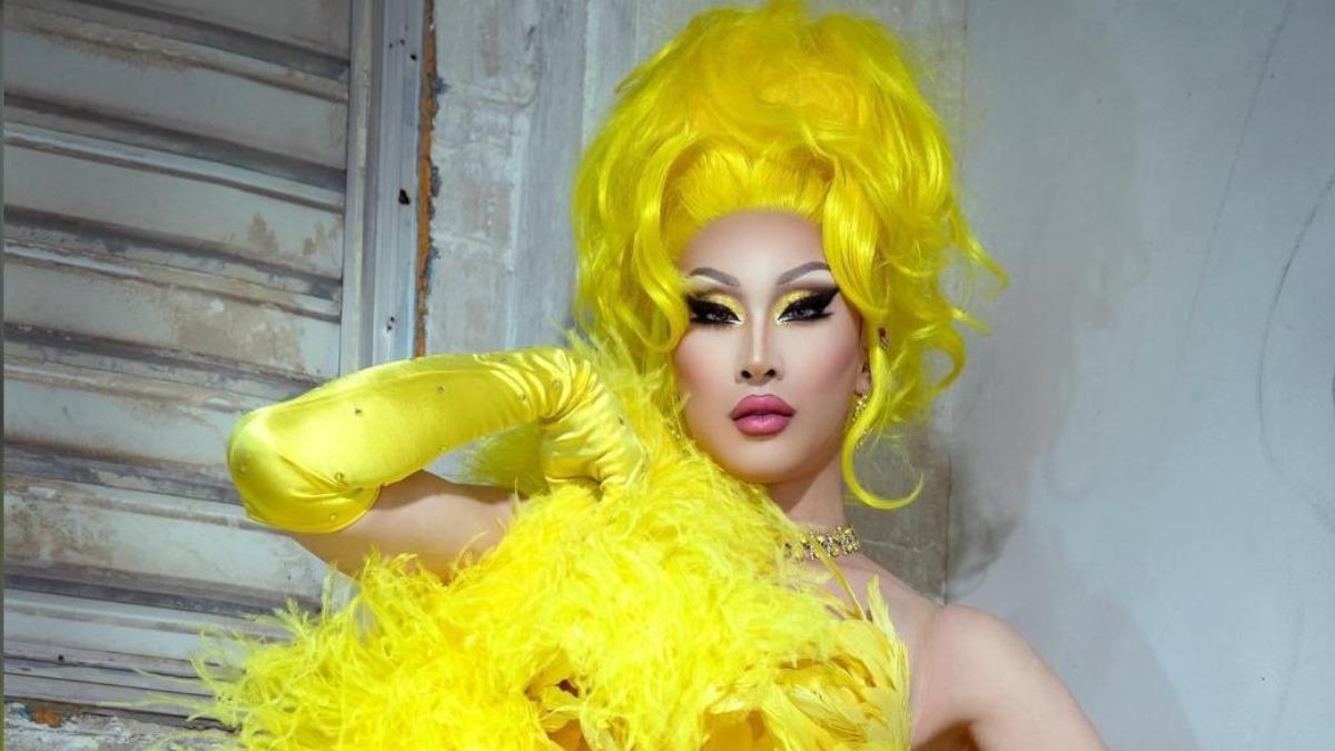 變裝皇后參戰?國會改革法案今再開戰 妮妃雅預告將現身立院
