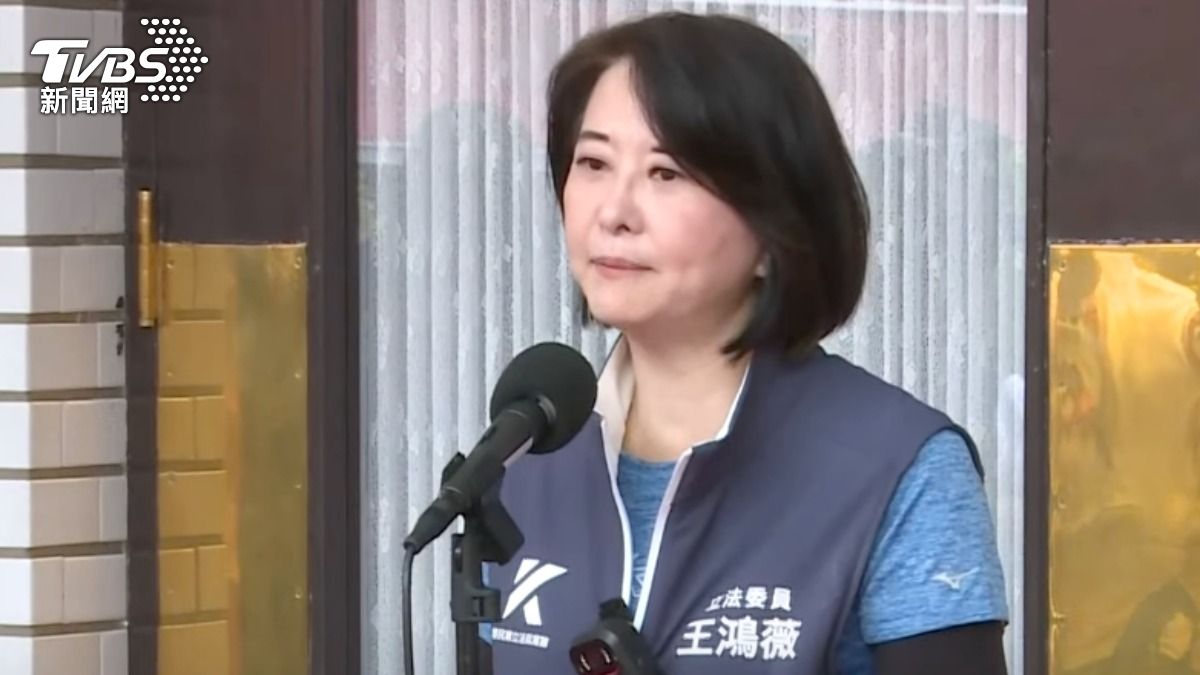 藍委王鴻薇。(圖/TVBS資料畫面)