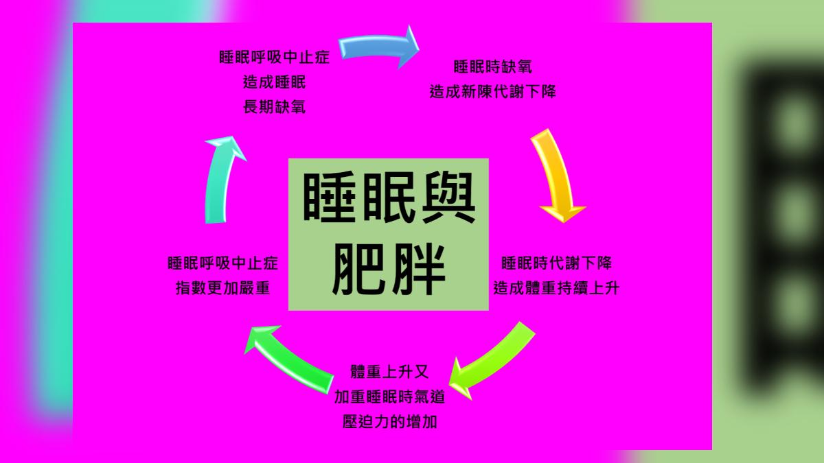 呼吸中止症會造成精神不濟 減重無效(圖/台東馬偕提供)