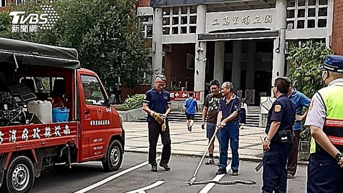 警、消人員協助抓蛇。（圖／TVBS）